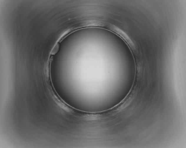 X0000112861236200908211314