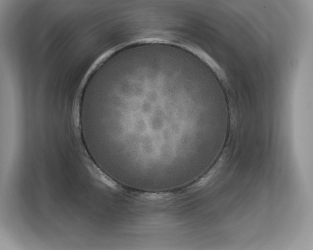 X0000112861240200908211314