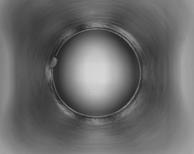 X0000112861241200908211314