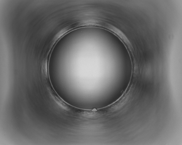 X0000112861242200908211314