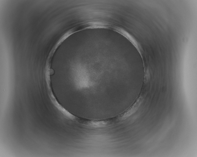 X0000112861243200908211314