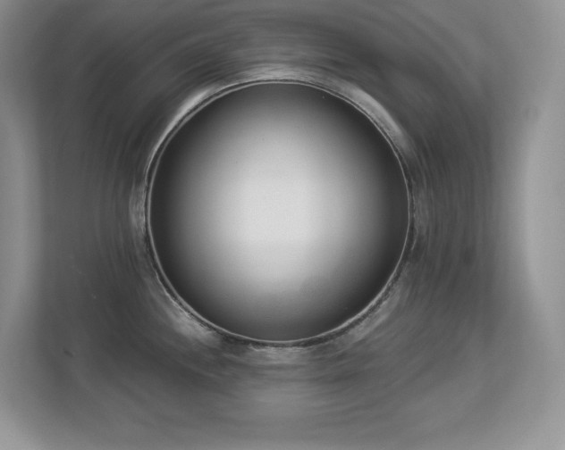 X0000112861244200908211314