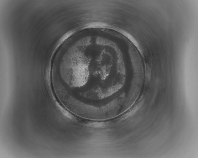 X0000112861245200908211314