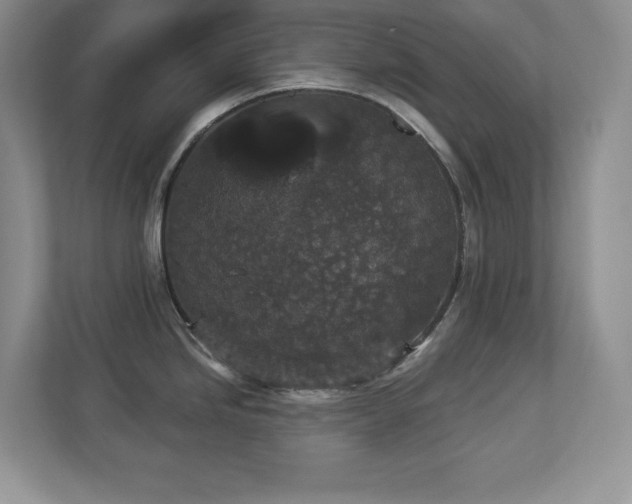 X0000112861246200908211314