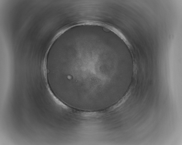 X0000112861247200908211314