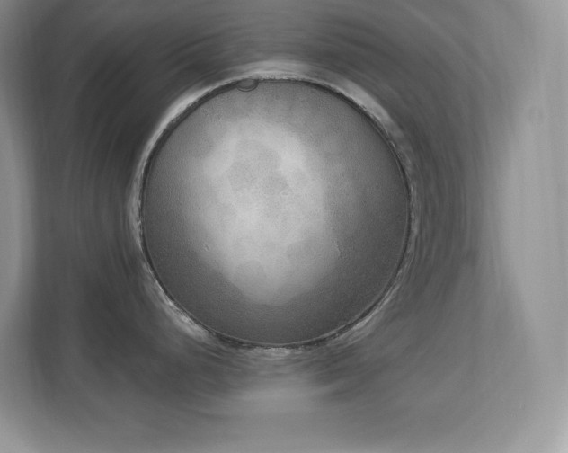 X0000112861248200908211314
