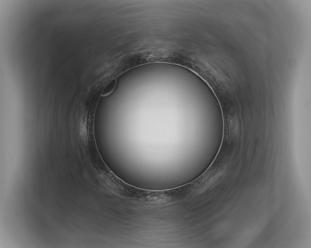 X0000112861250200908211314