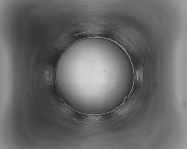 X0000112861251200908211314