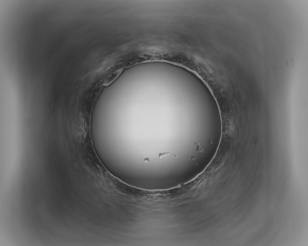 X0000112861253200908211314