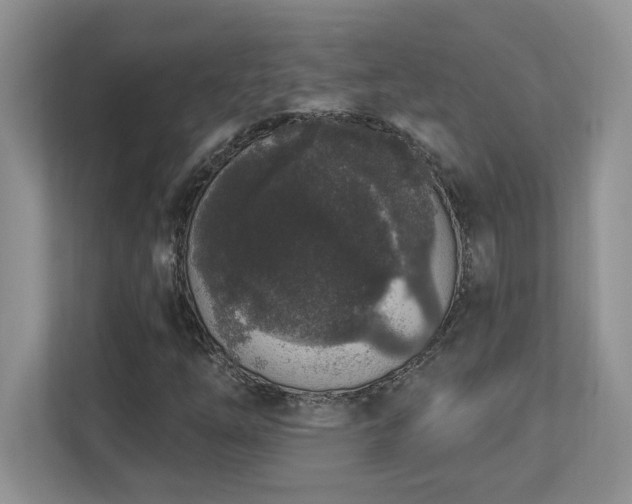 X0000112861254200908211314