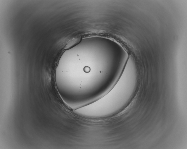 X0000112861257200908211313
