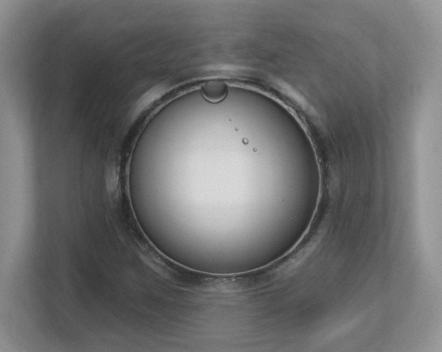 X0000112861259200908211313
