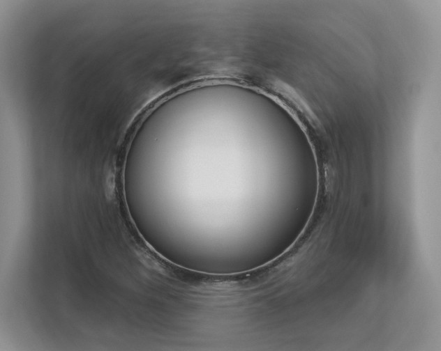 X0000112861260200908211313