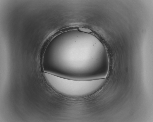 X0000112861261200908211313