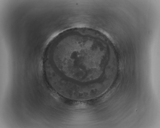 X0000112861263200908211313