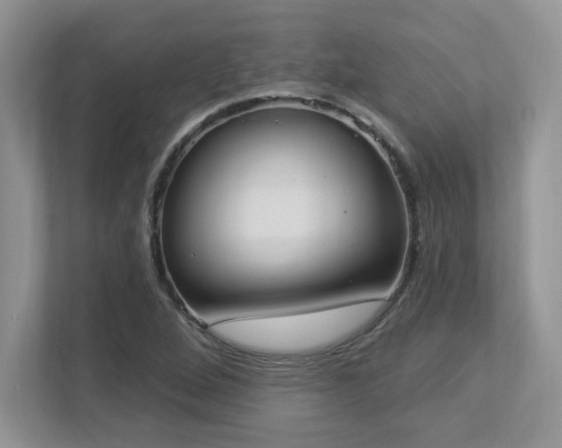 X0000112861264200908211313