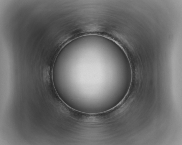 X0000112861265200908211313