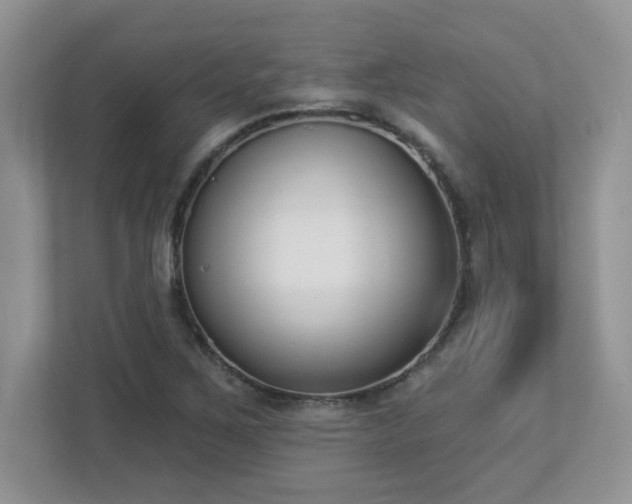 X0000112861267200908211313