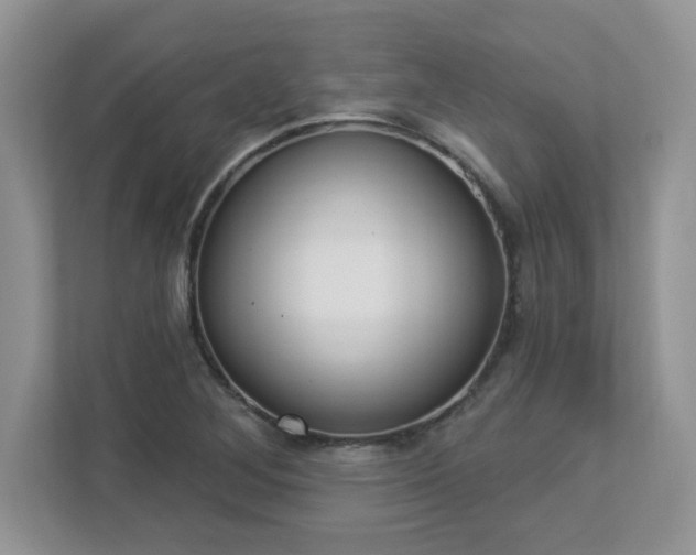 X0000112861268200908211313