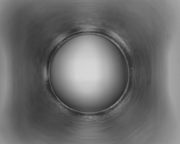 X0000112861269200908211313