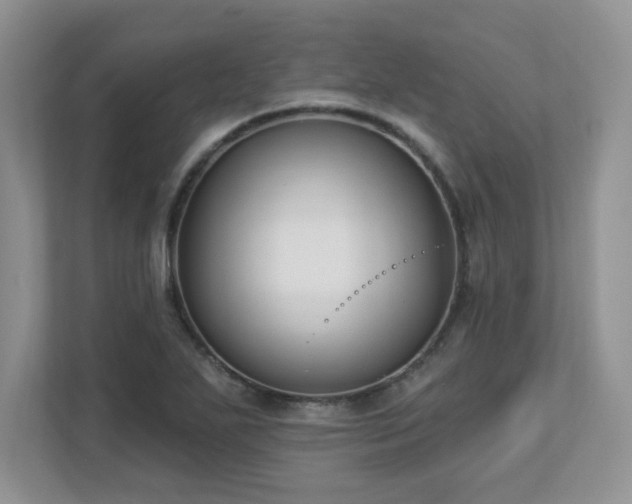 X0000112861271200908211313