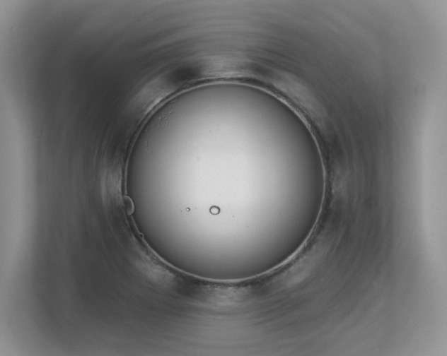 X0000112861273200908211313