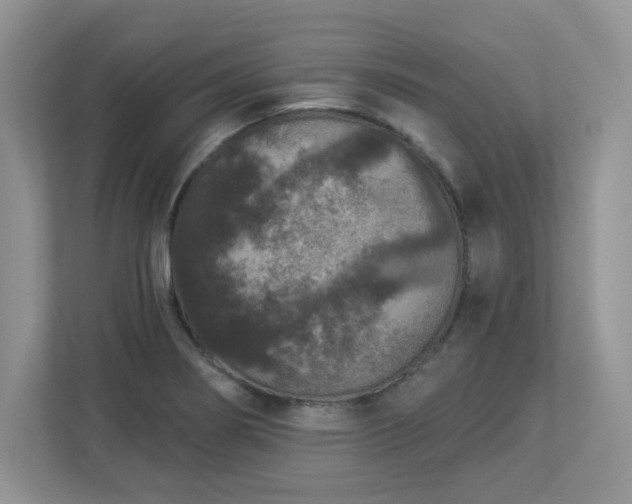 X0000112861274200908211313