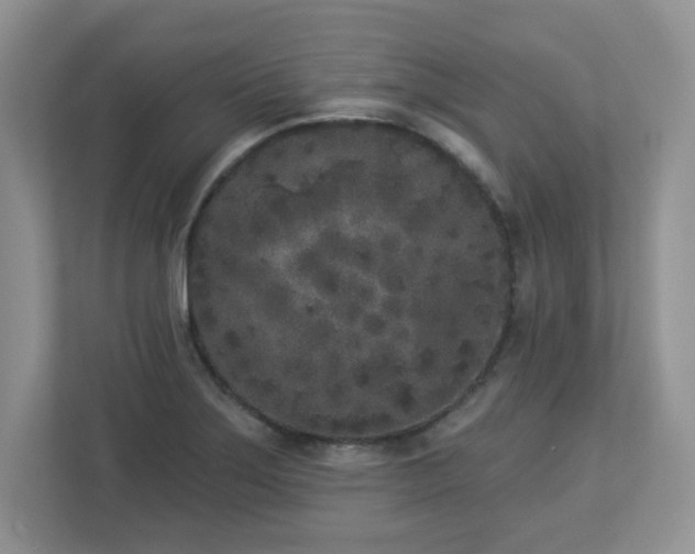 X0000112861275200908211313
