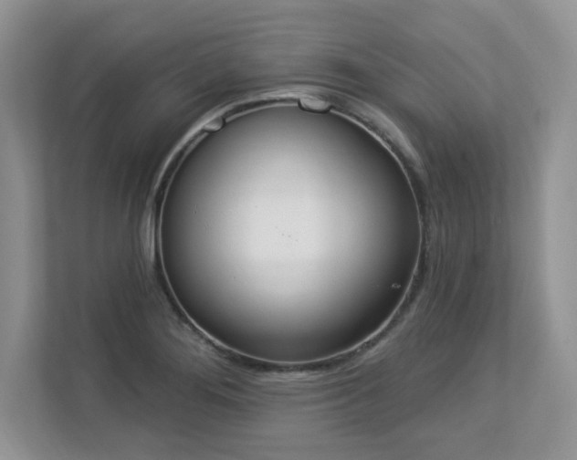 X0000112861276200908211313