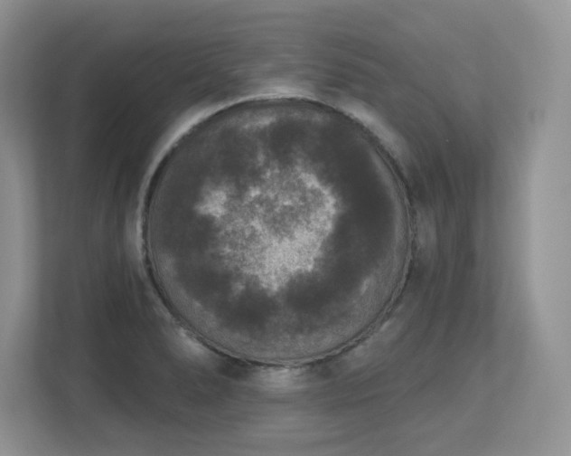 X0000112861278200908211313