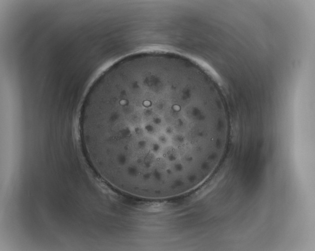X0000112861279200908211313