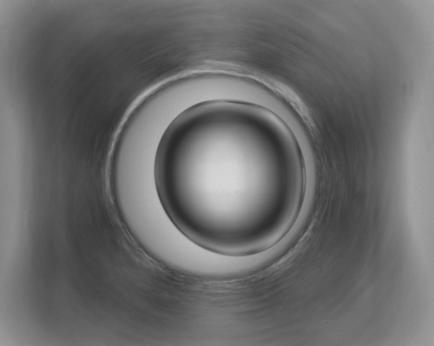 X0000112861280200908211313