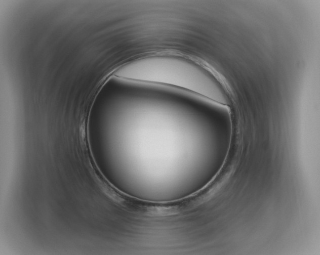 X0000112861281200908211313
