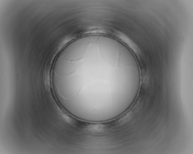 X0000112861282200908211313