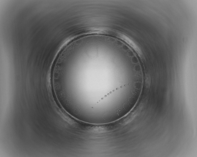 X0000112861283200908211313