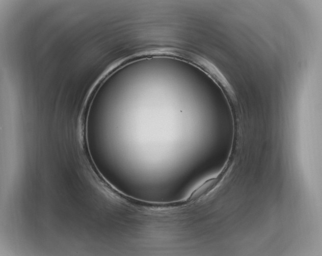 X0000112861284200908211313