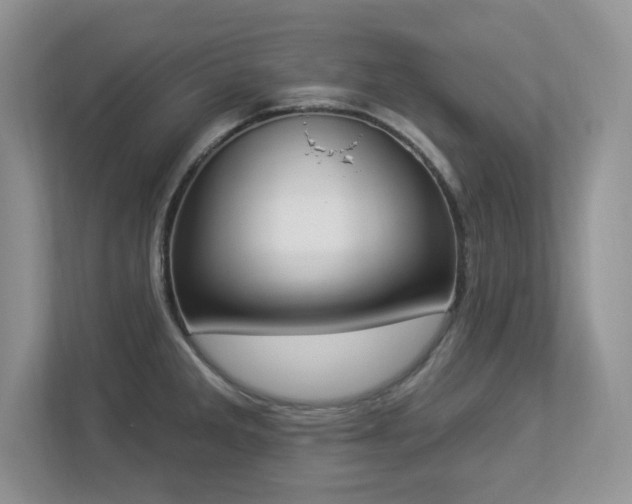 X0000112861285200908211313