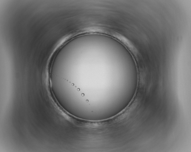 X0000112861286200908211313