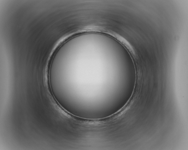 X0000112861288200908211313