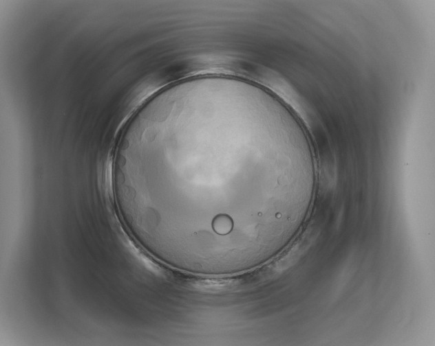 X0000112861290200908211313