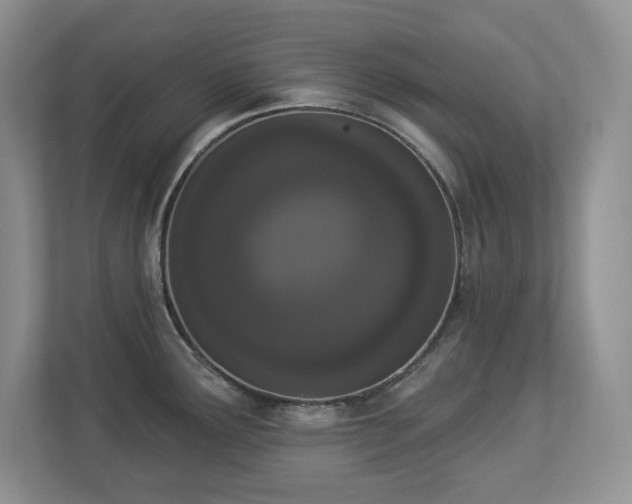 X0000112861291200908211313