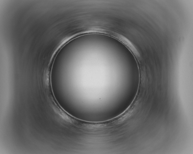 X0000112861292200908211313