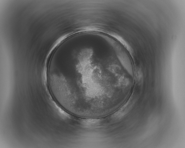 X0000112861294200908211313