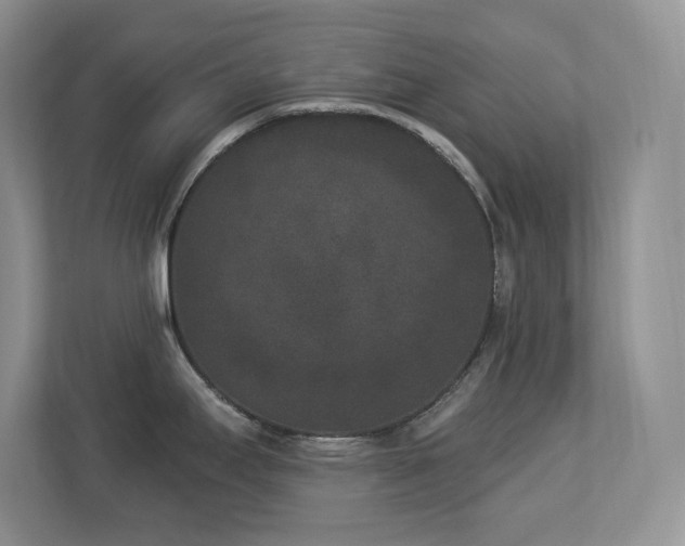 X0000112861295200908211313
