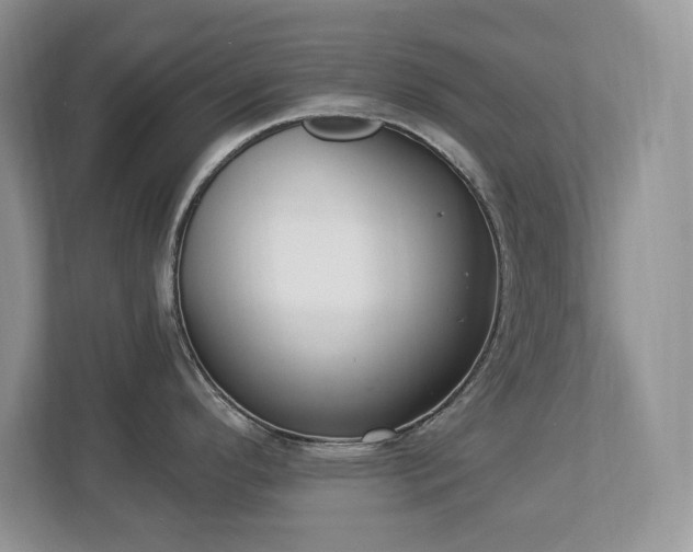 X0000112861296200908211313