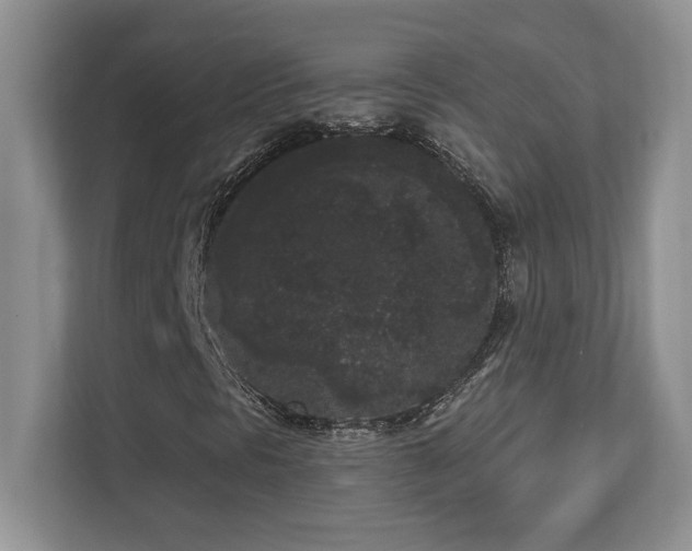 X0000112861297200908211312