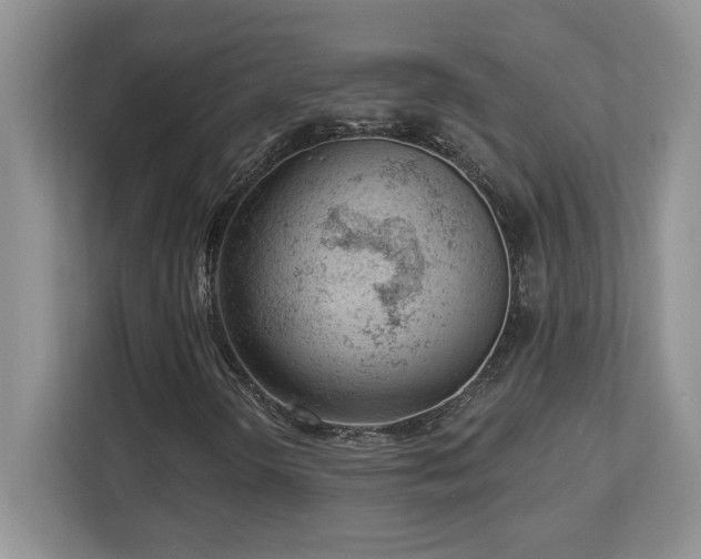 X0000112861298200908211312