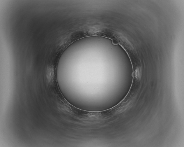X0000112861299200908211312