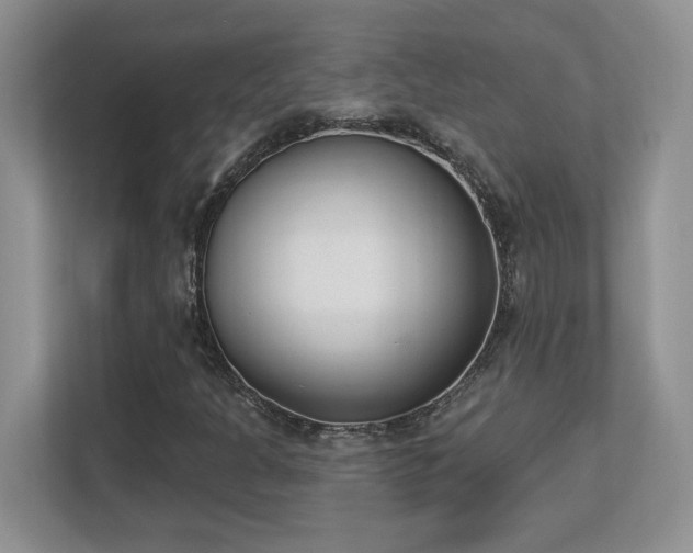 X0000112861301200908211312