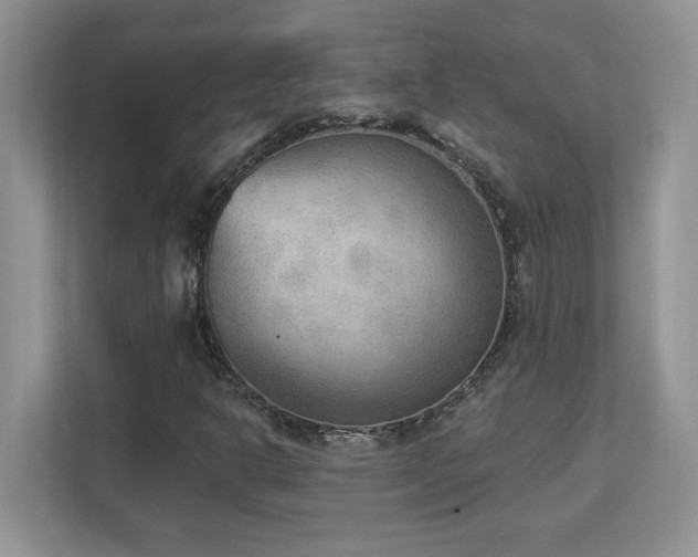 X0000112861302200908211312